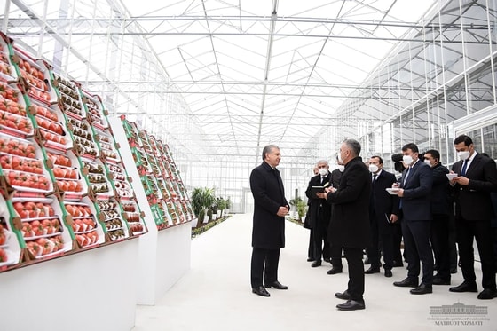 Фото: пресс-служба президента&nbsp;