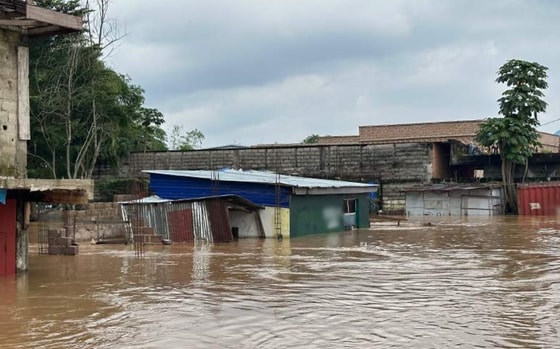 Фото: Global Look Press