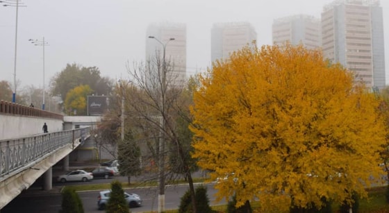 Фото: @valdemarios / Instagram.&nbsp;