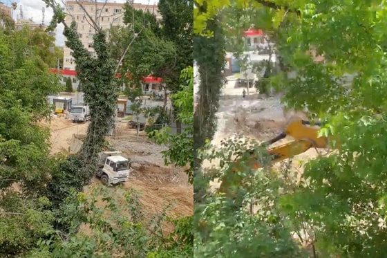 Фото: Кадры из видео