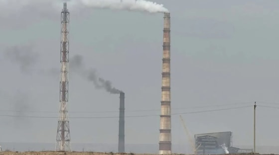 Фото: Комитет по экологии