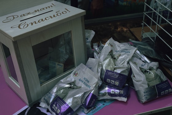 Фото: Авакян Маргарита / Repost.uz