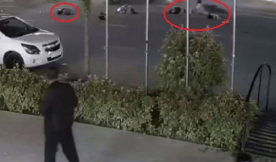 Кадр из видео