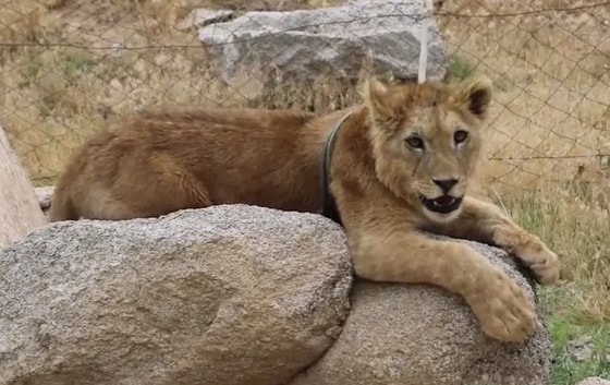 Фото: Минэкологии