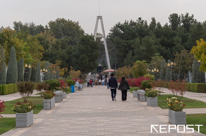 Синоптики рассказали, какая погода ждет узбекистанцев перед выходными