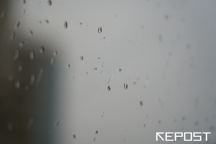 Дожди и понижение температуры: какая погода ждет узбекистанцев на этой неделе