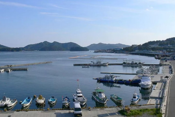 У побережья Японии произошло землетрясение магнитудой 7,5