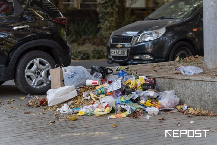 В Ташкенте выявили более 1,8 тысячи случаев выброса мусора в неположенном месте