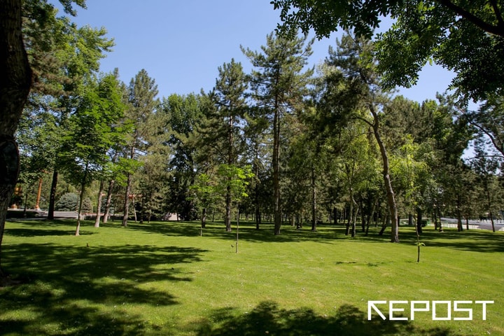 Ташкент накроет высокое ультрафиолетовое излучение