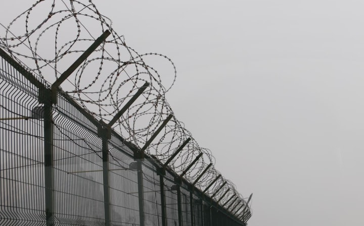 Сенат Узбекистана поддержал соглашение с Иорданией о выдаче преступников