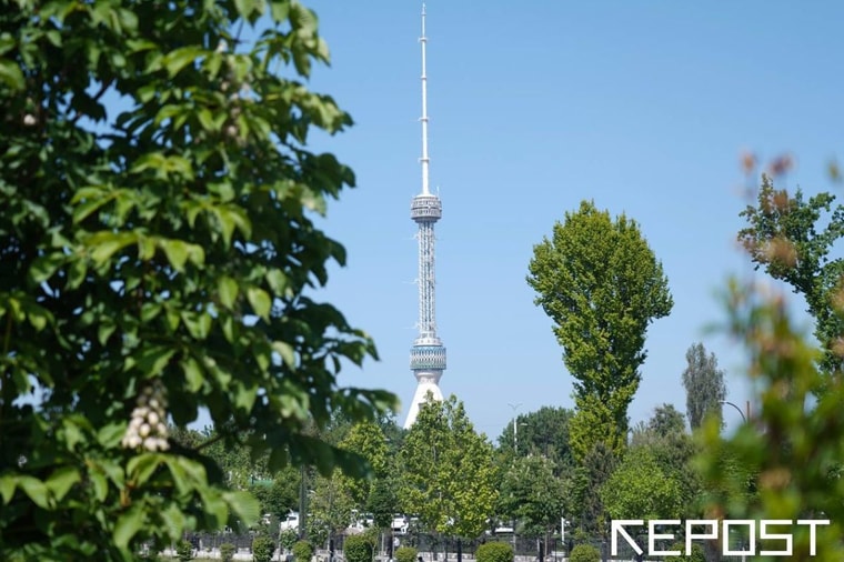 В Узбекистане ожидается 35-градусная жара