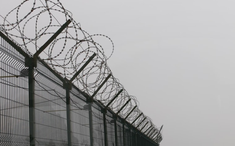 В Узбекистане могут ограничить возможность УДО для осужденных за коррупцию