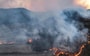 Лесной пожар - последние новости от команды Repost.uz