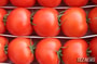 Помидор - последние новости от команды Repost.uz