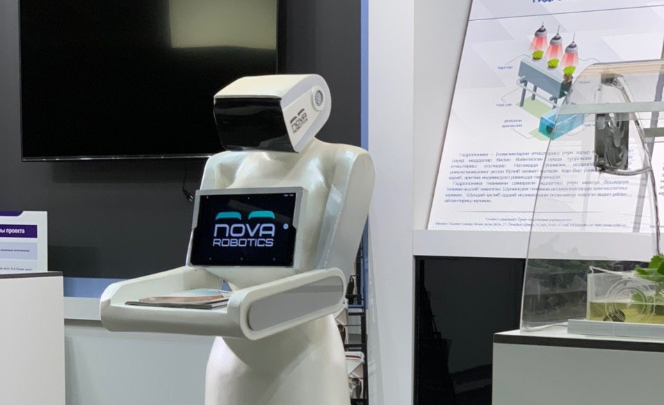 Мининновации озвучили цену отечественного робота-ассистента  