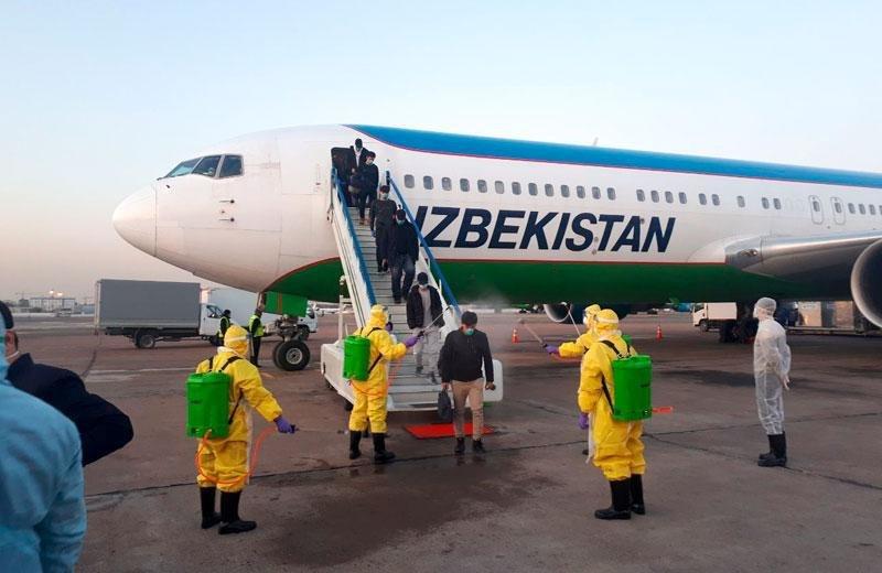 Uzbekistan Airways заявила о дополнительных рейсах Ташкент – Франкфурт – Ташкент