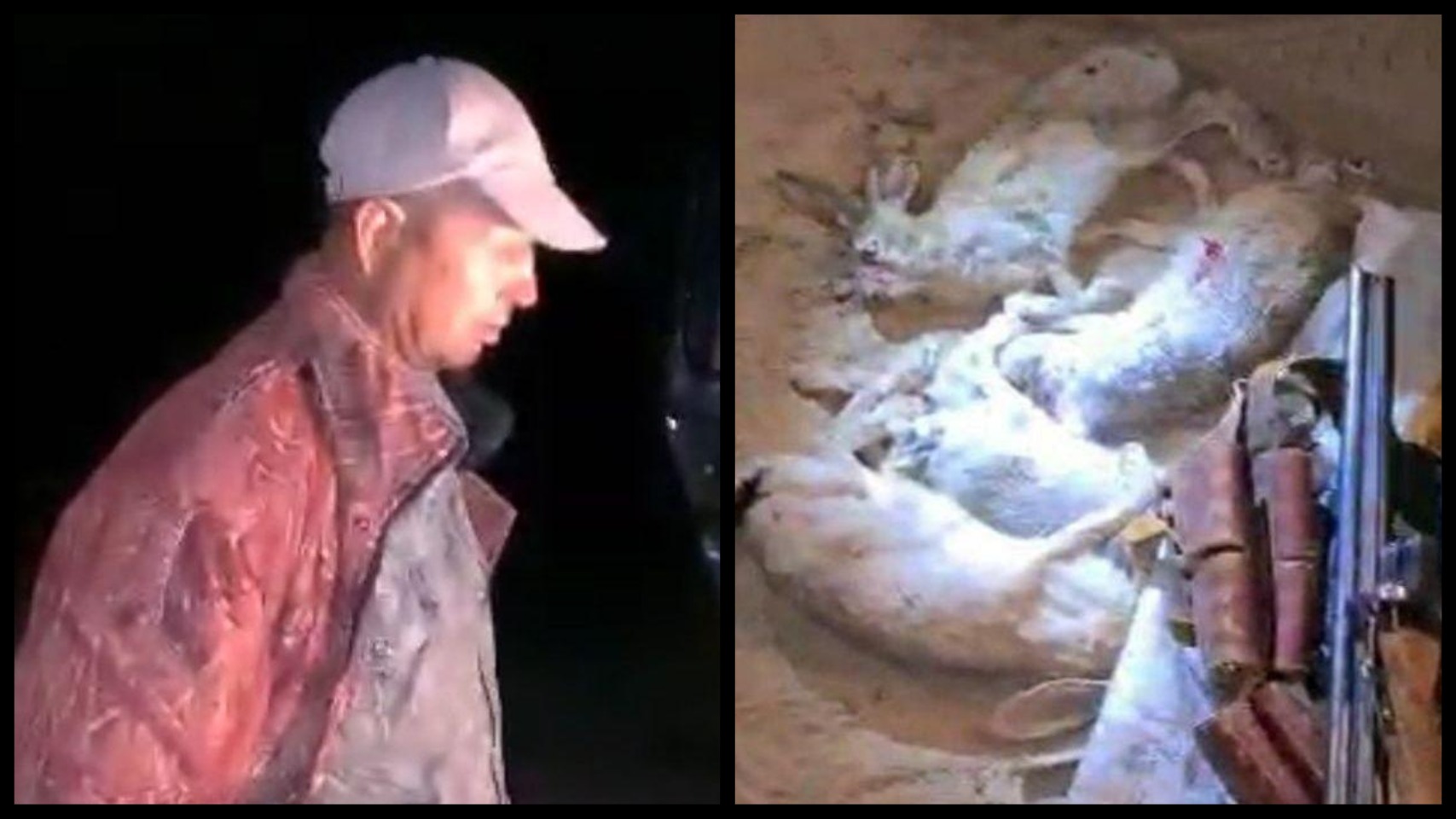 В Бухарской области браконьеры вышли в полночь поохотиться на кроликов и попались 