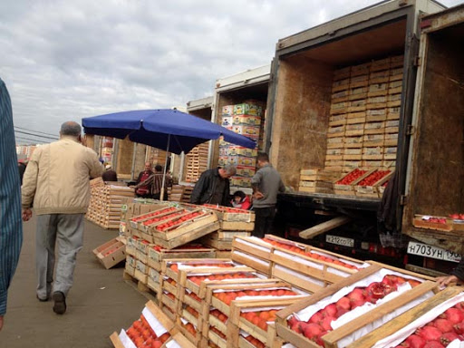 Из Узбекистана и Киргизии пытались провезти десятки тонн зараженных фруктов в Россию