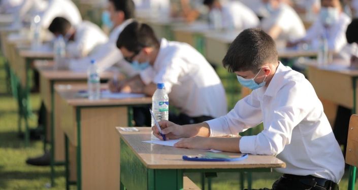 Узбекские абитуриенты при поступлении будут сдавать тесты на логику