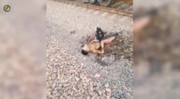 В Ташкенте парня ударило током в 27 тысяч вольт при попытке сделать селфи на поезде