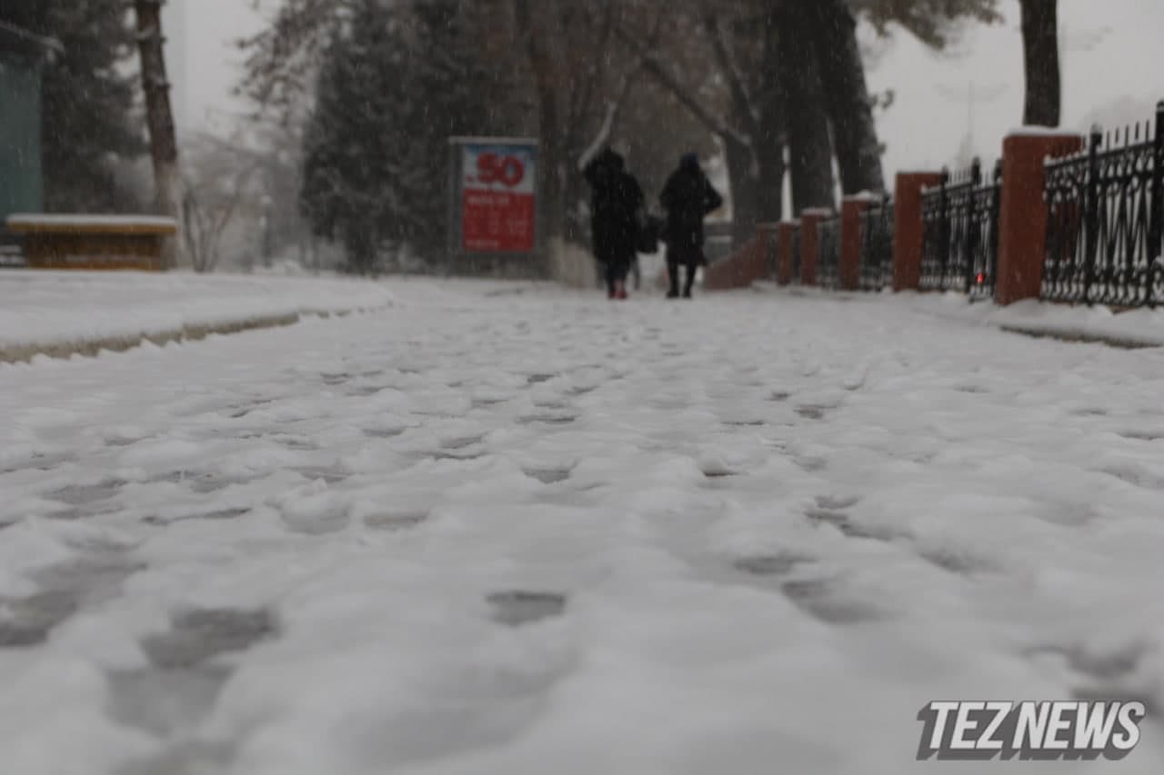 В Узбекистане резко похолодает: в некоторых регионах температура снизится до -15 градусов