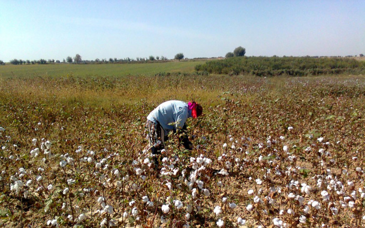 Узбекистан отказался от детского и принудительного труда