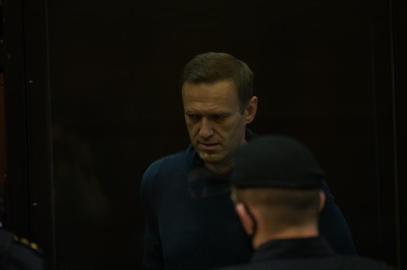Австрия выступила против чрезмерных санкций из-за ситуации с Навальным
