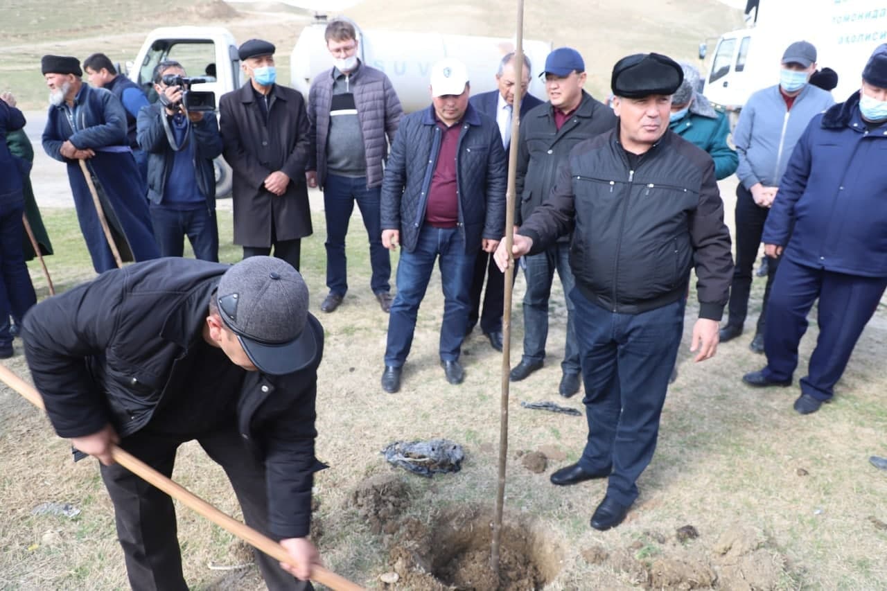 В Узбекистане министр поддержки махалли и семьи провёл мастер-класс по посадке саженцев 