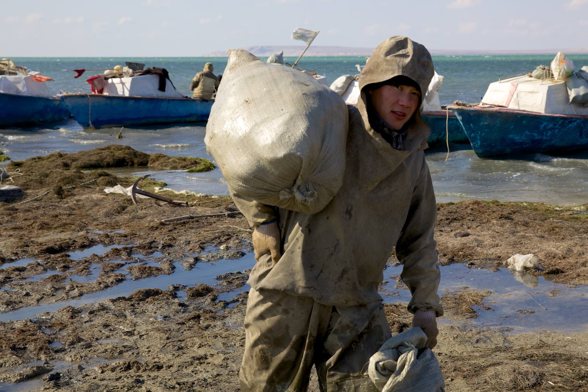 Аральское море пестициды