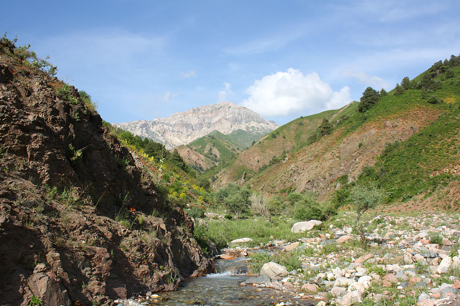 Охраняемые природные территории Узбекистана будут расширены более чем на 10 процентов