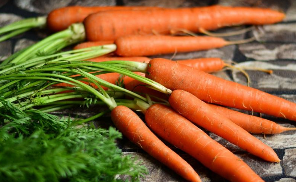 Раскрылась причина возросших цен на морковь в стране