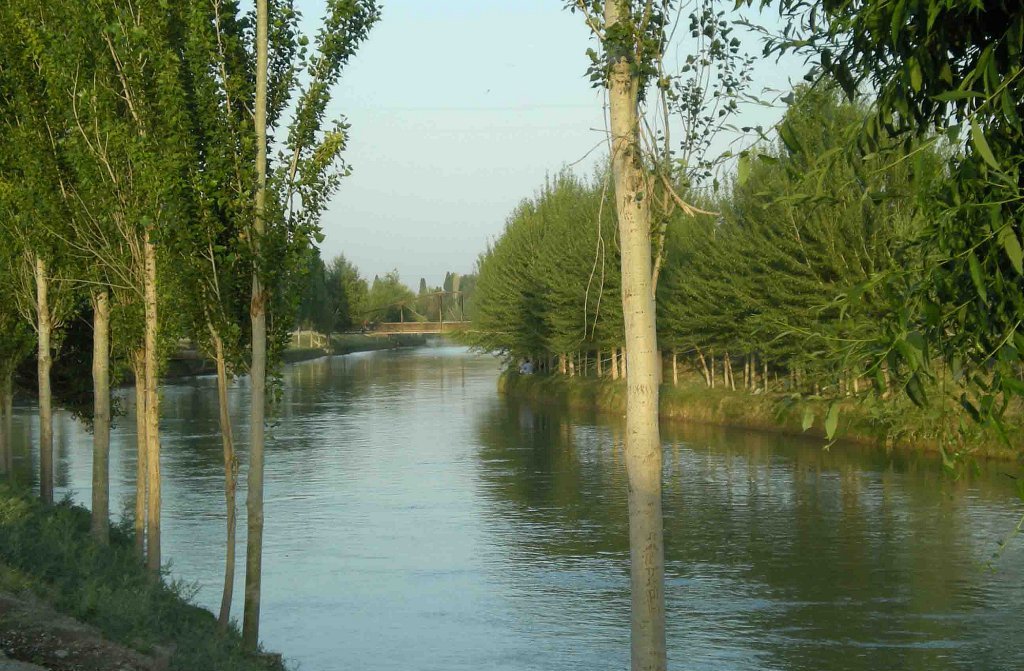 В Фергане 22-летняя женщина бросилась в канал после ссоры с мужем и утонула