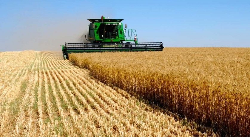 Руководитель компании в Джизакской области присвоил около 123 млн сумов, предназначенных для фермерского хозяйства