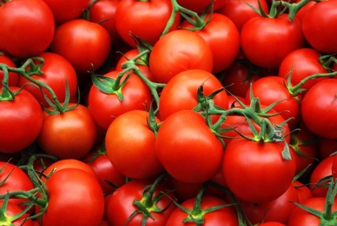 Россельхознадзор вводит временные ограничения на ввоз плодов томатов и перцев из Бухарской области