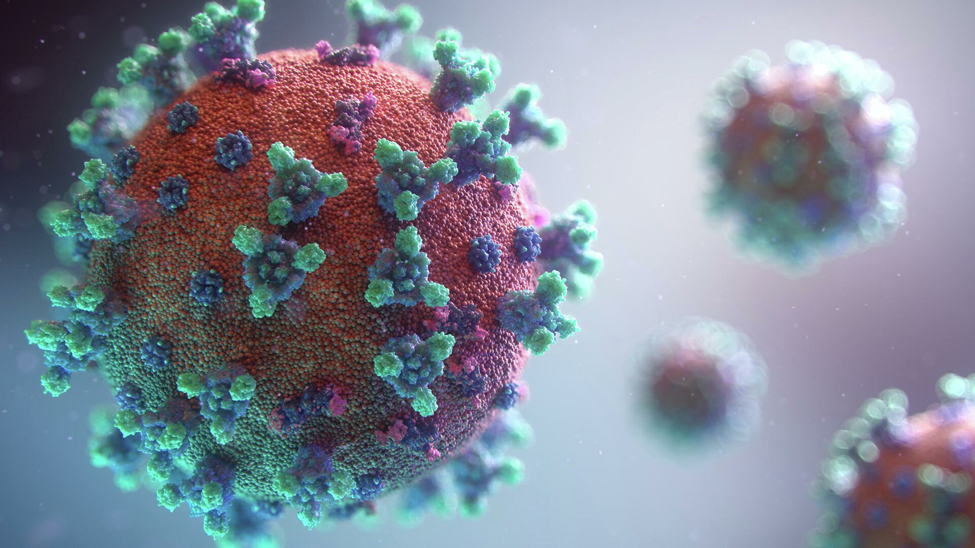 Эксперт рассказал, чем коронавирус отличается от ряда других вирусов