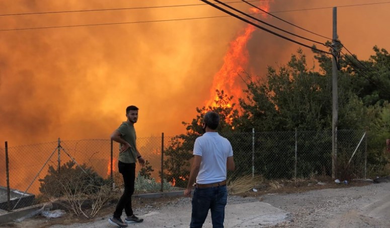 В Турции потушили более ста лесных пожаров
