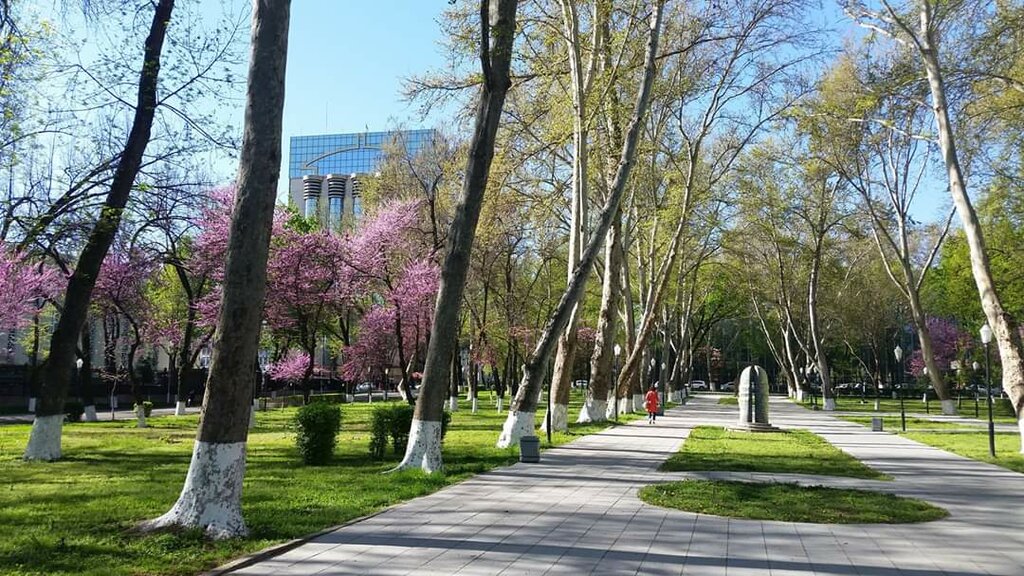 Узбекистанцам пообещали жаркие выходные