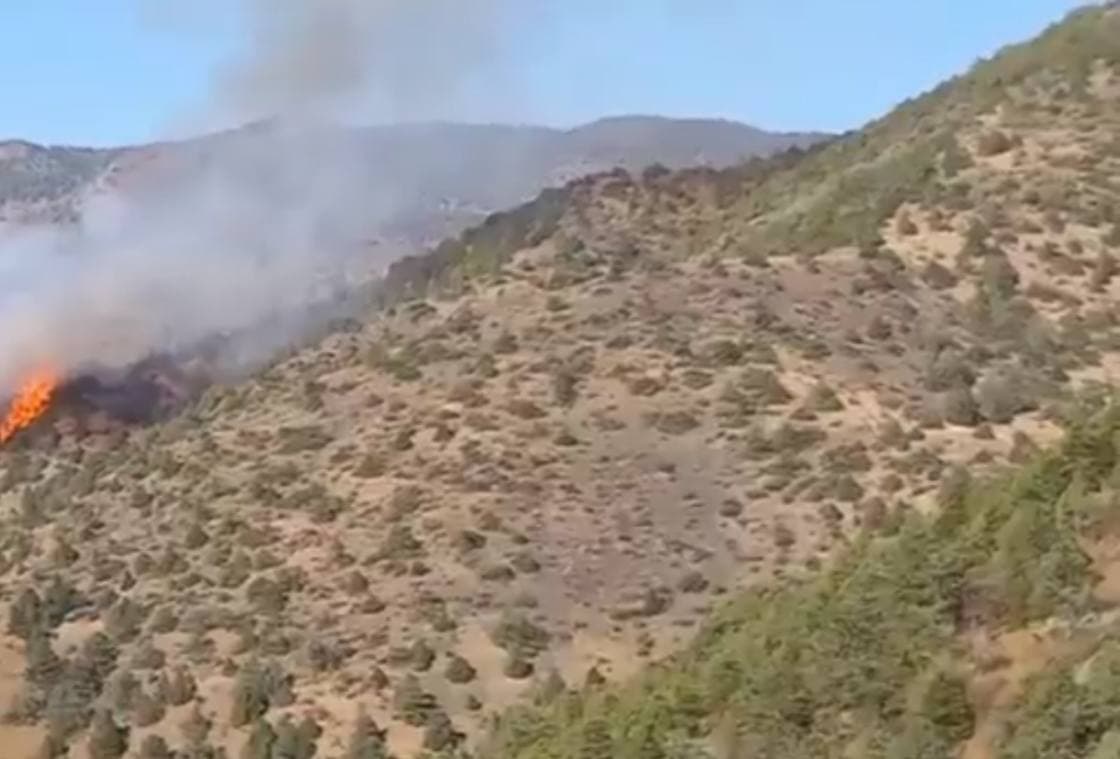 В горах Заамина вновь вспыхнул пожар - видео