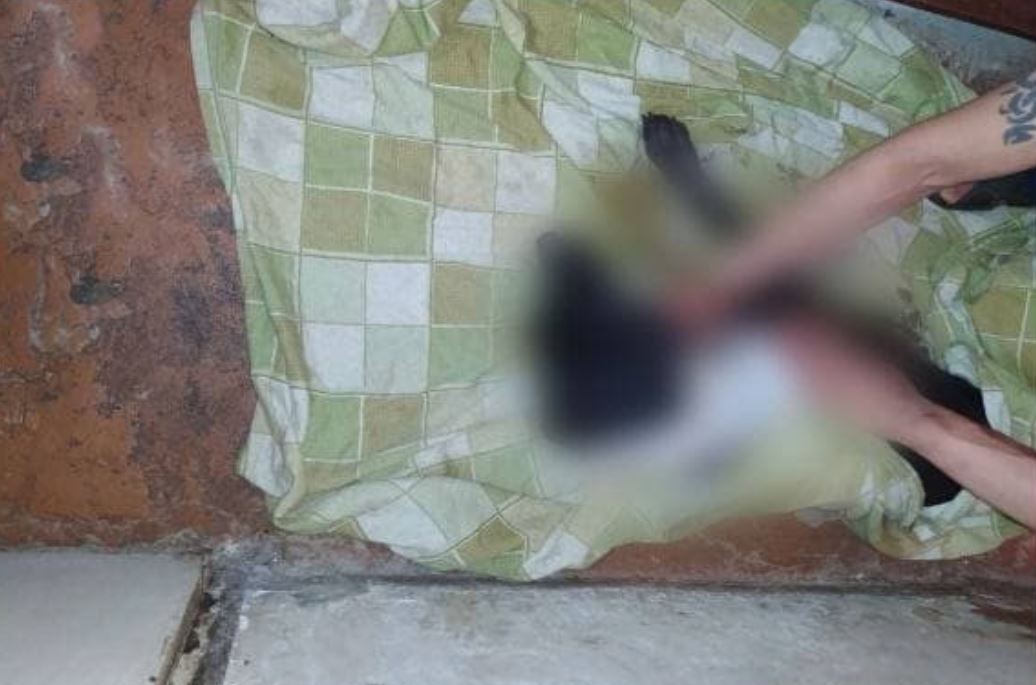 Житель Чиланзарского района спрыгнул со второго этажа, чтобы спасти собаку от нетрезвых мужчин