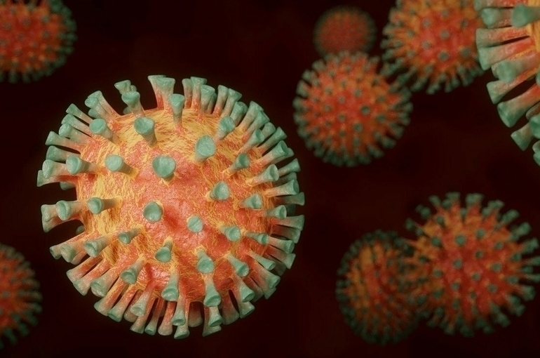 Стало известно, кто виноват во вспышке «дельта»-штамма коронавируса