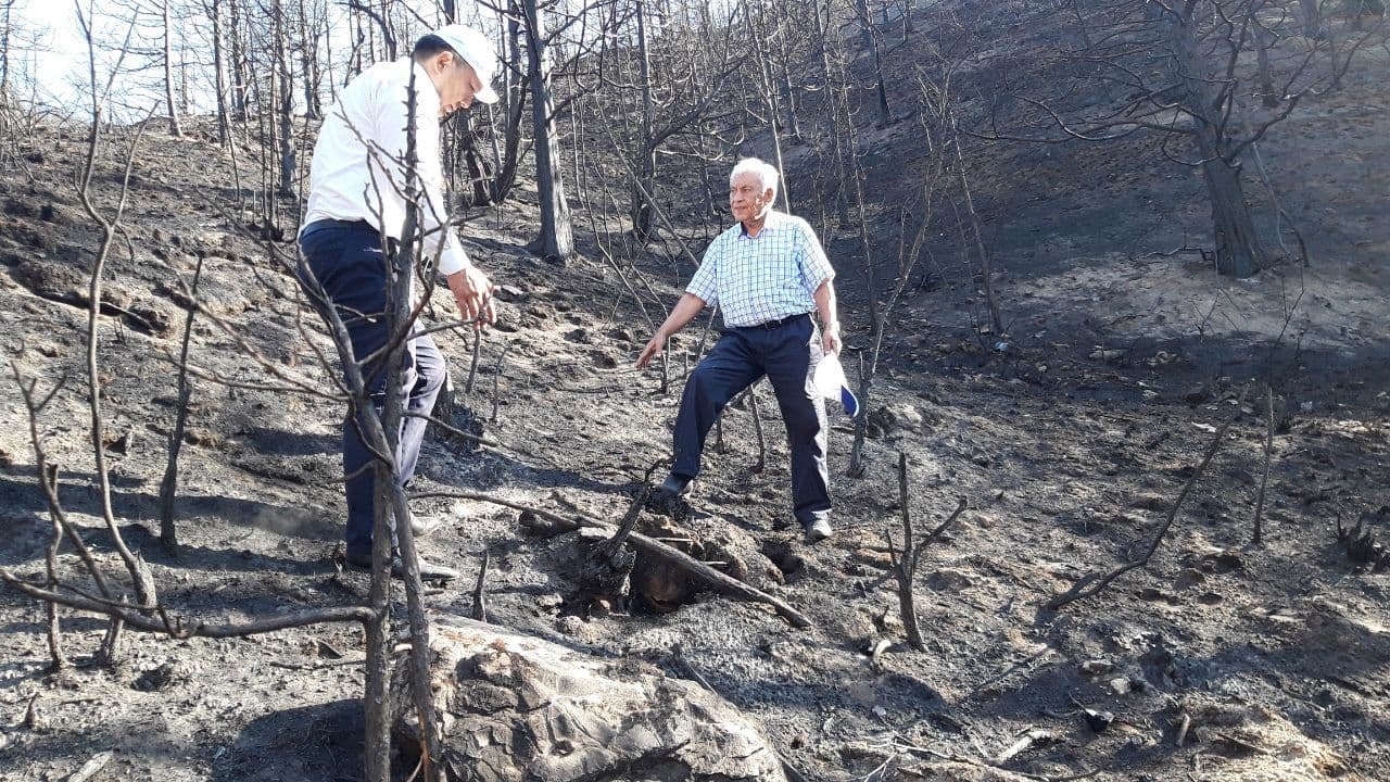 Пожары в зааминских горах находятся в центре внимания Экопартии Узбекистана