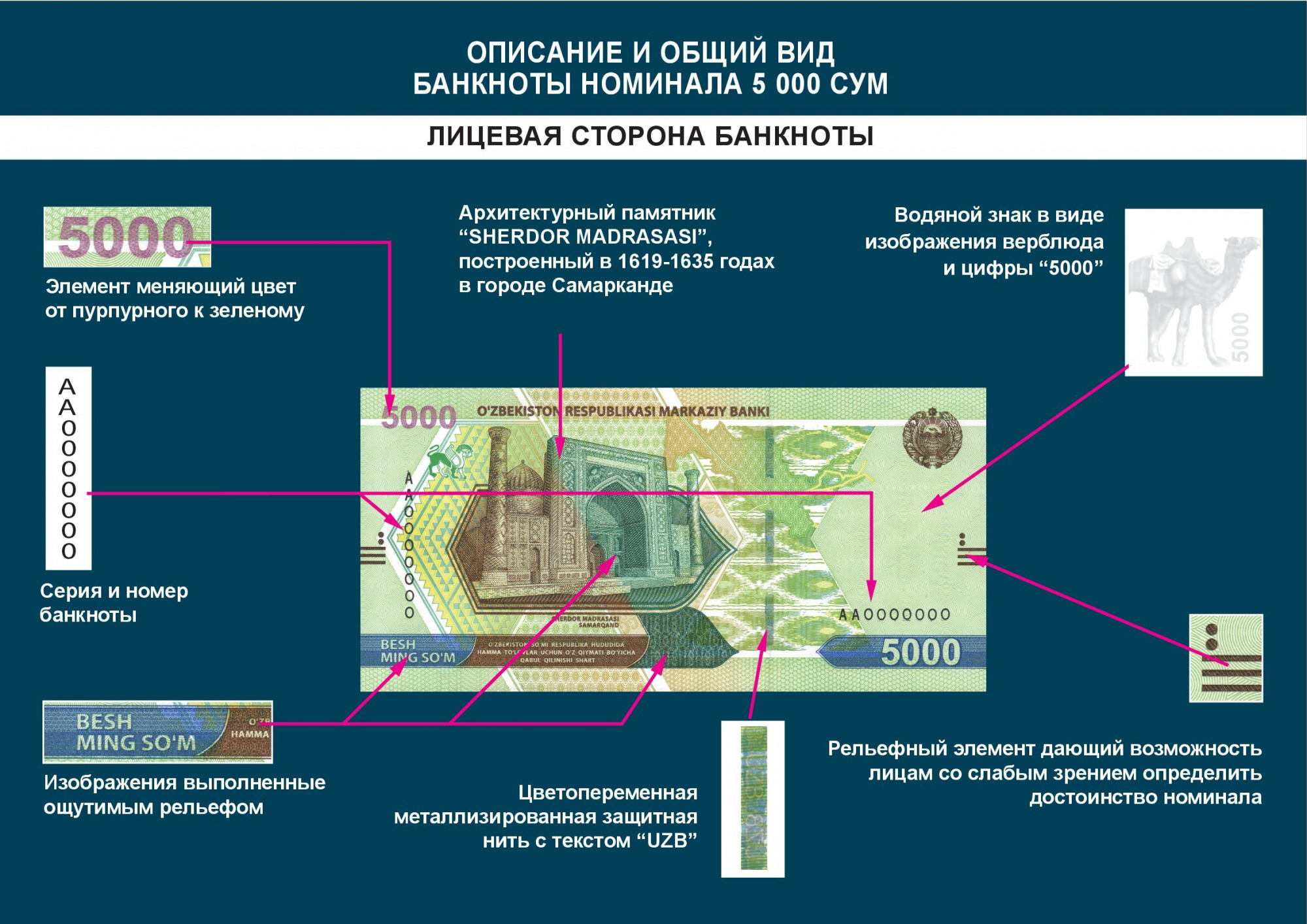 ЦБ опубликовал дизайн новых образцов банкнот ценностью 5 и 10 тысяч сумов