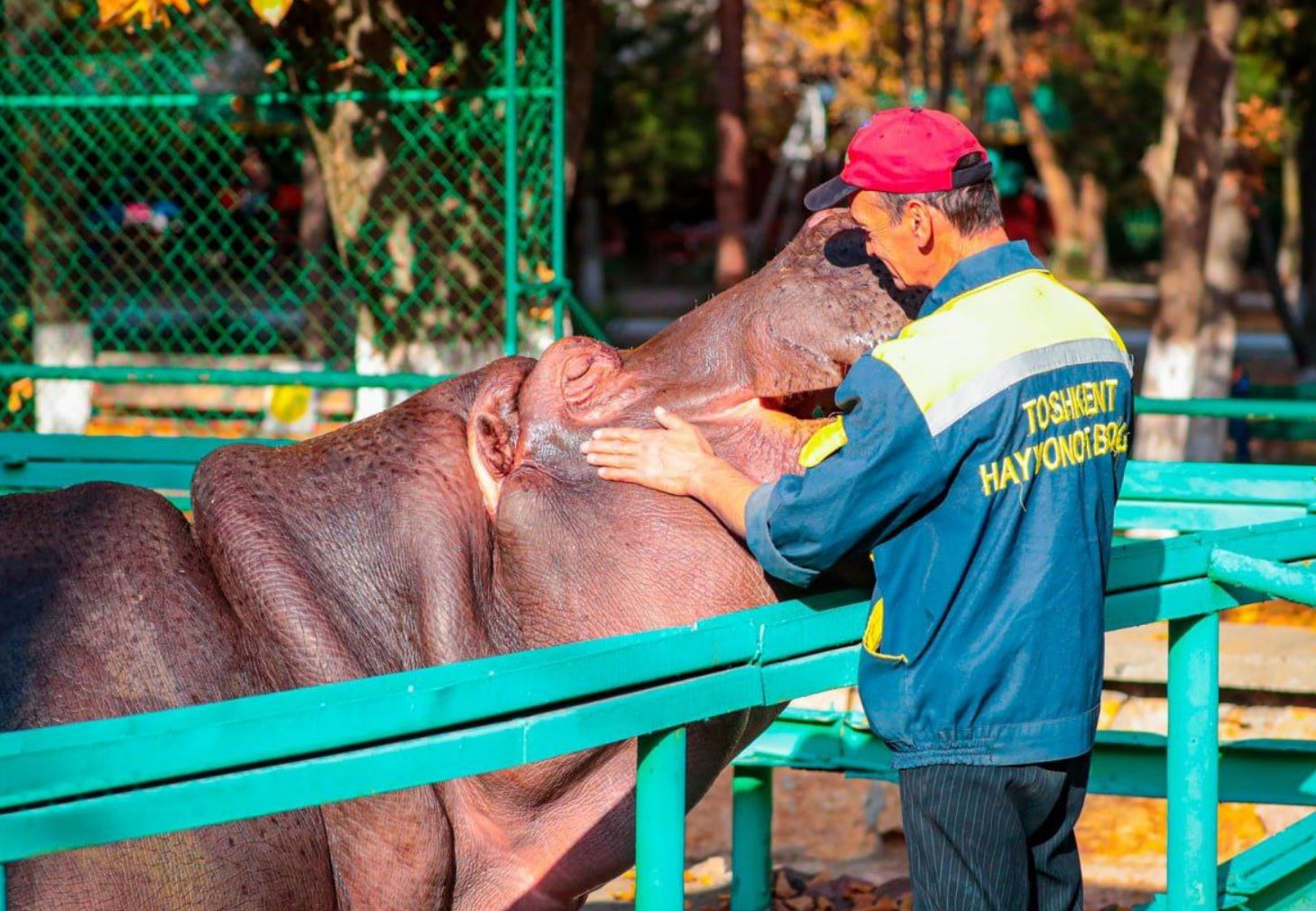 Госкомстат: в зоопарках Узбекистана содержатся более 11 тысяч видов диких животных