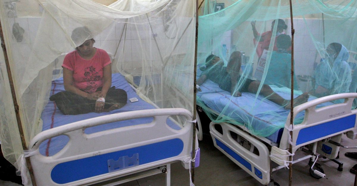 Десятки индийцев умерли от лихорадки денге — подробности