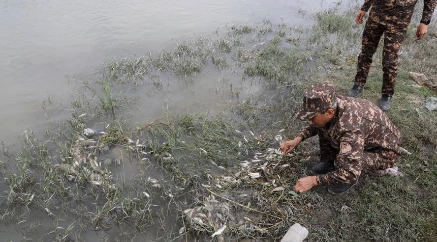 В «Навоиазот» заявили, что не сливали химикаты в реку Зарафшан