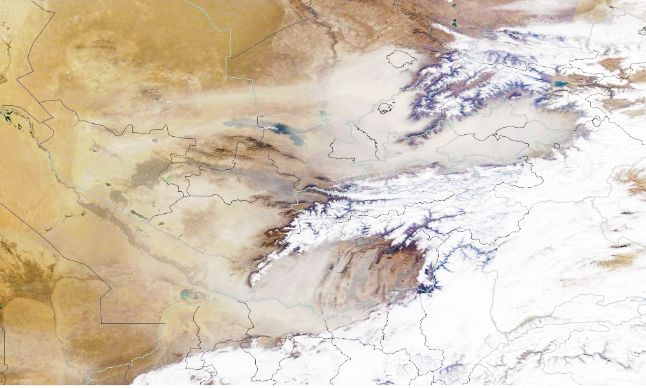 Фото: Uzb_meteo / Telegram