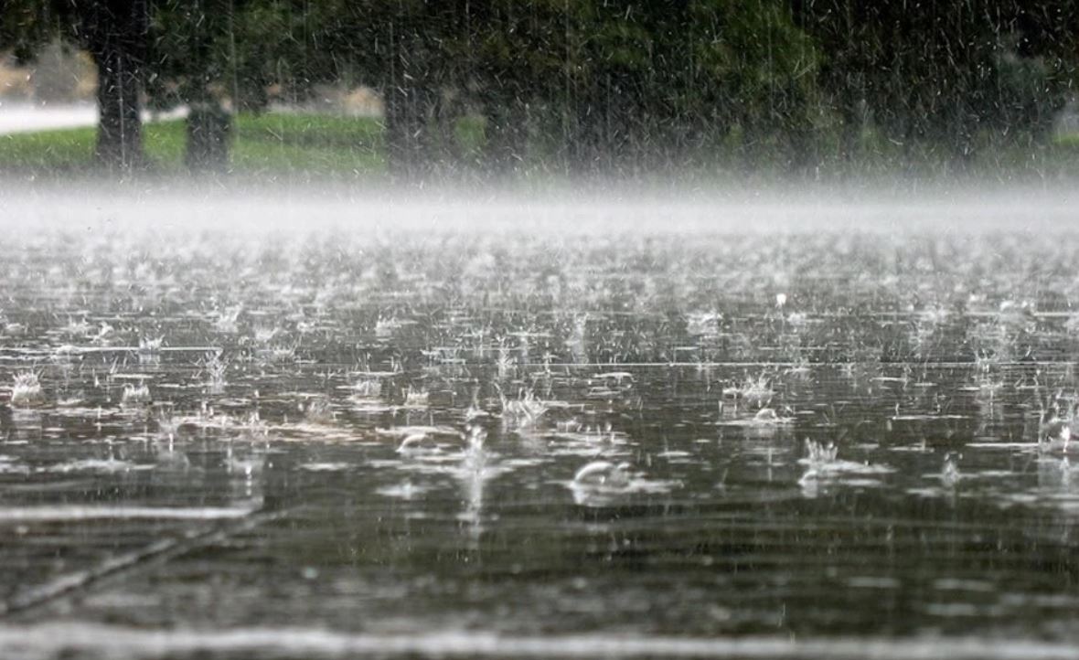 Синоптики рассказали, в каких регионах Узбекистана сегодня ожидаются дожди 