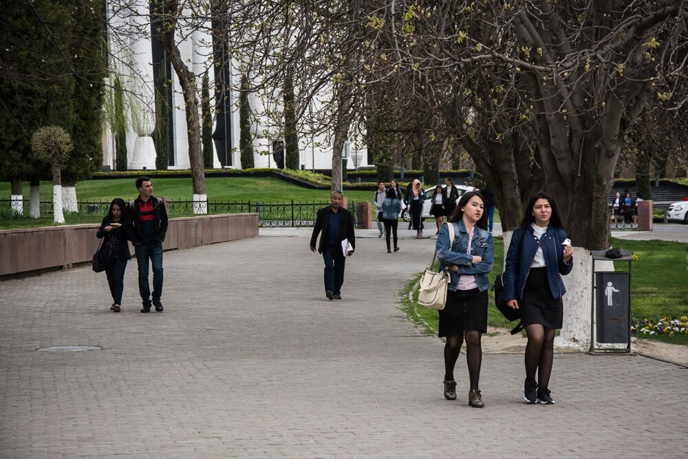 Всемирный банк рассказал, как бороться с безработицей среди молодежи в Узбекистане 