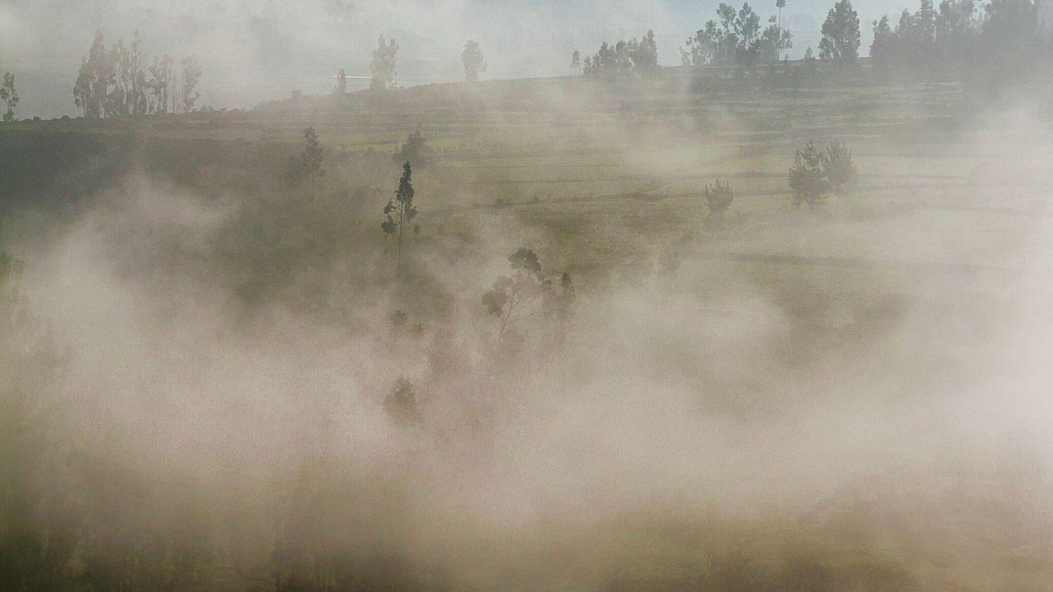 Синоптики предупредили о пыльной буре в Узбекистане 