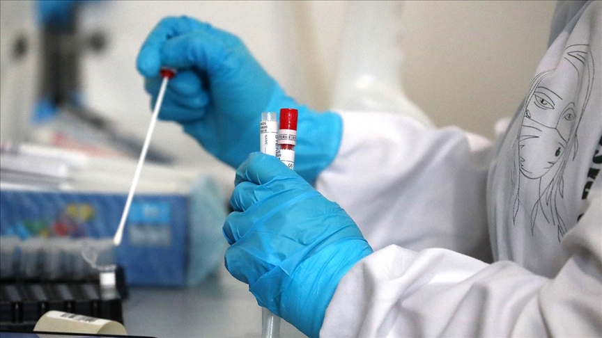 В Ташкенте за прошедшие сутки выявили более 50 новых случаев заражения коронавирусом — статистика по регионам
